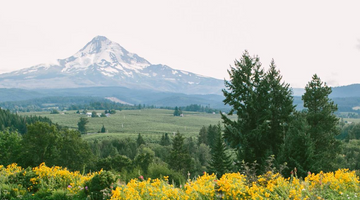 More Than Just Applesauce: Why Biodynamic, High Quality Food Is Worth the Cost
