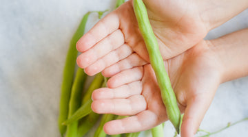 Healing the Planet with Regenerative Agriculture and Biodynamic Farming