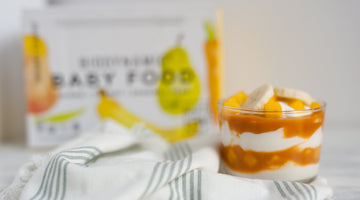 Healthy Snacks: Yogurt and Fruit Blends for Babies and Toddlers