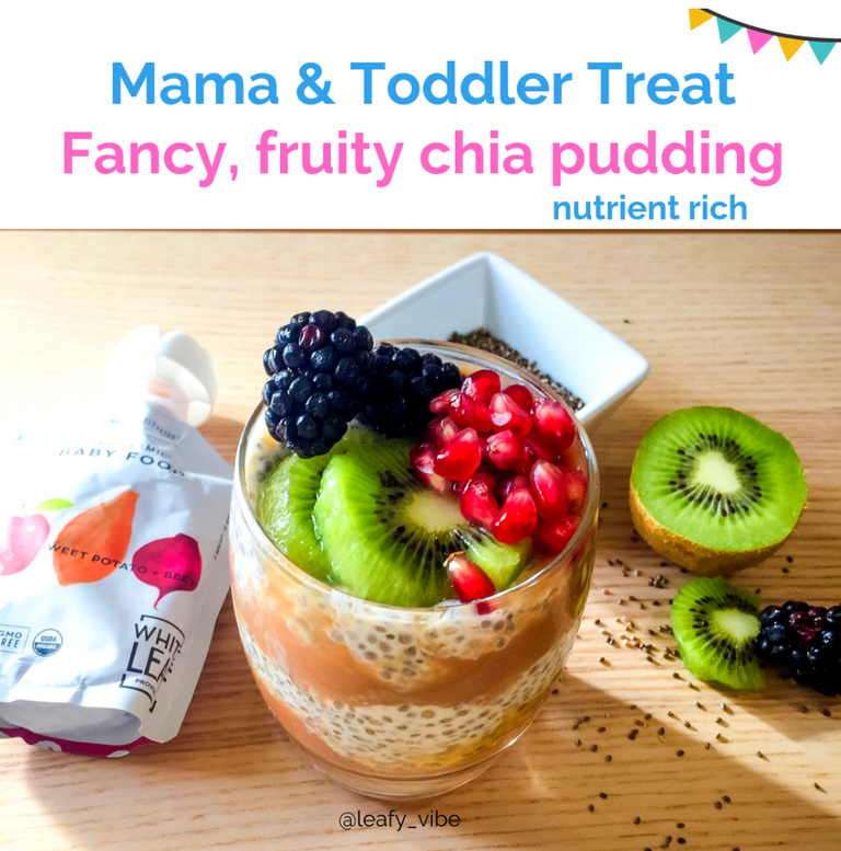 Mama and Toddler Healthy Chia Pudding Recipe
