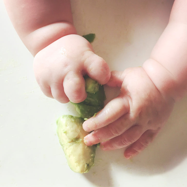 Baby’s First Foods: A Guide to What, When, and How to Feed Your New Eater