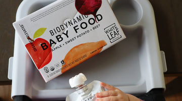 Best Advice for Baby’s First Foods, and the Importance of Avoiding Added Sugars and Sodium