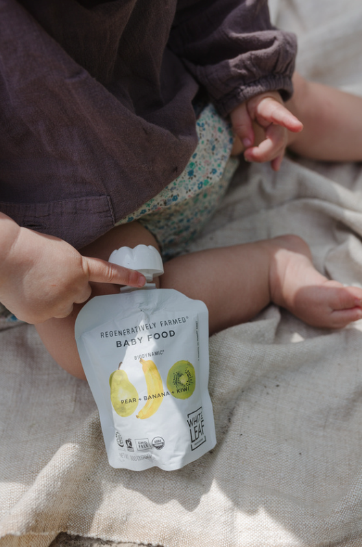 Organic Biodynamic® Baby Food - Pear + Banana + Kiwi